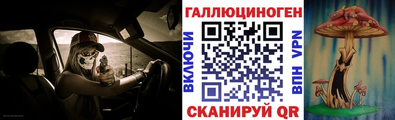 Галлюциногенные грибы Psilocybine cubensis  Переславль-Залесский 