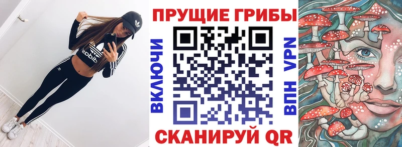 Псилоцибиновые грибы MAGIC MUSHROOMS Переславль-Залесский