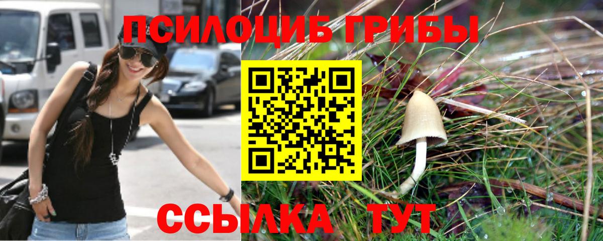 Галлюциногенные грибы MAGIC MUSHROOMS  Вход с VPN  Переславль-Залесский 